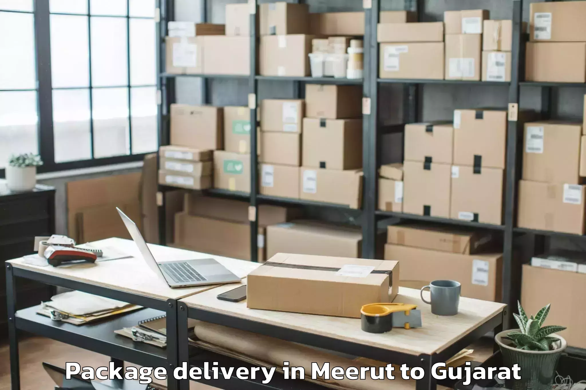 Quality Meerut to Sankheda Package Delivery